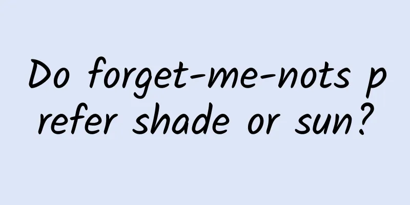 Do forget-me-nots prefer shade or sun?