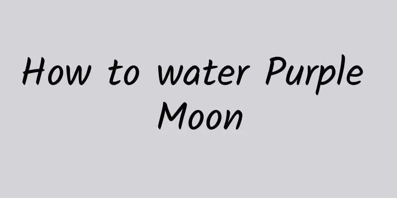 How to water Purple Moon