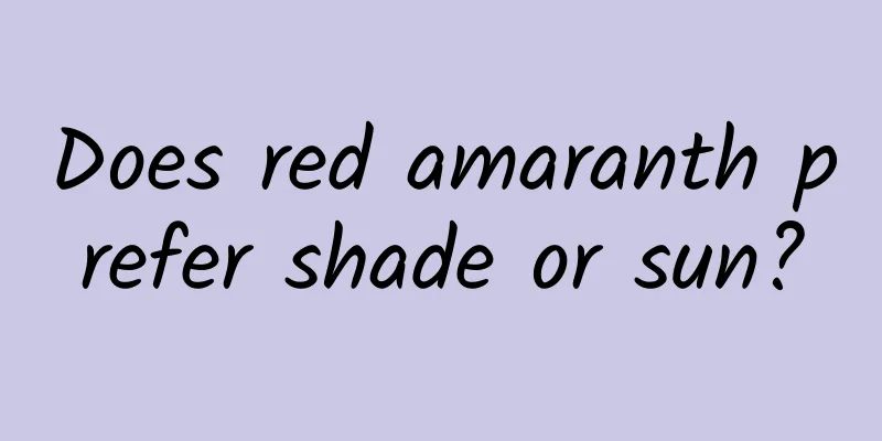 Does red amaranth prefer shade or sun?