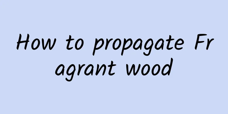 How to propagate Fragrant wood