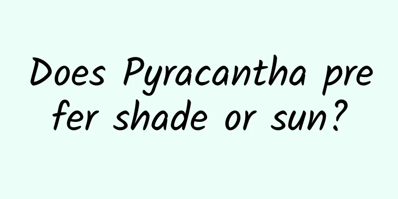 Does Pyracantha prefer shade or sun?