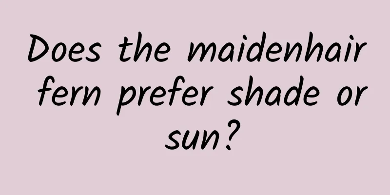 Does the maidenhair fern prefer shade or sun?