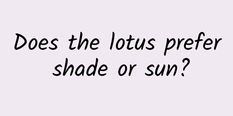 Does the lotus prefer shade or sun?