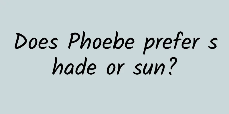 Does Phoebe prefer shade or sun?