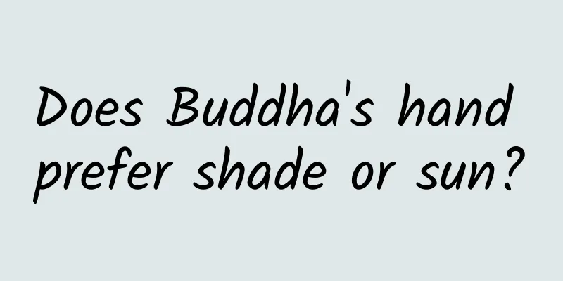 Does Buddha's hand prefer shade or sun?