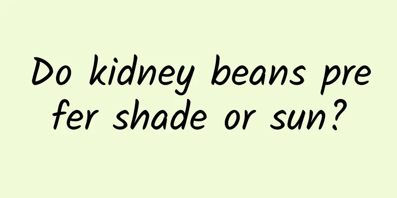 Do kidney beans prefer shade or sun?