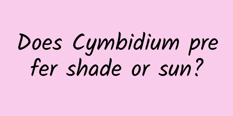 Does Cymbidium prefer shade or sun?