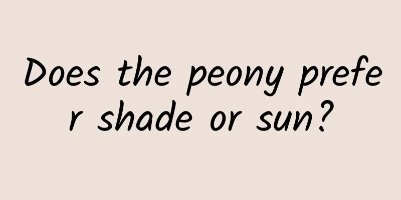 Does the peony prefer shade or sun?