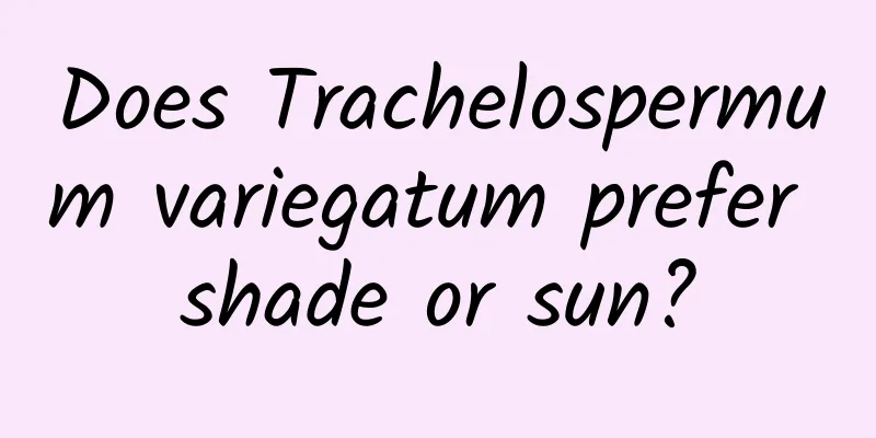 Does Trachelospermum variegatum prefer shade or sun?
