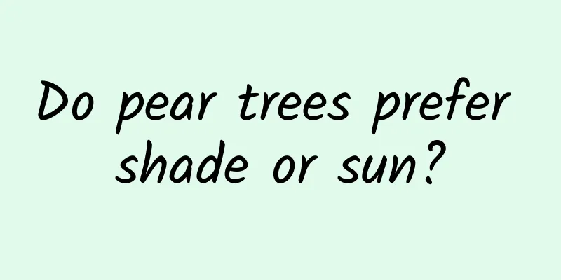 Do pear trees prefer shade or sun?