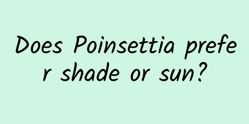 Does Poinsettia prefer shade or sun?