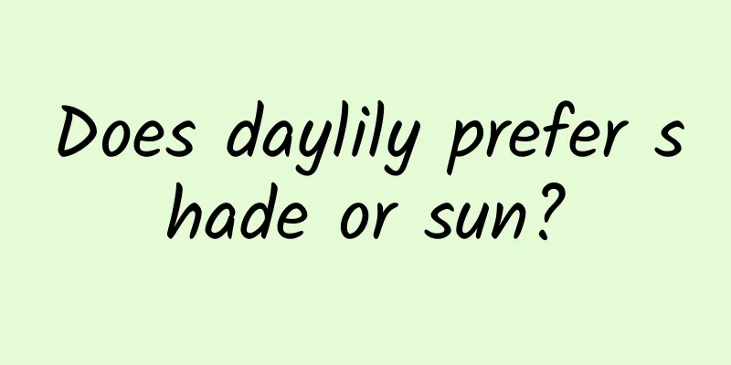 Does daylily prefer shade or sun?