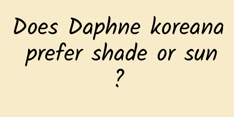 Does Daphne koreana prefer shade or sun?