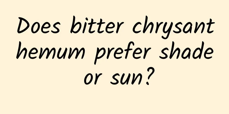 Does bitter chrysanthemum prefer shade or sun?
