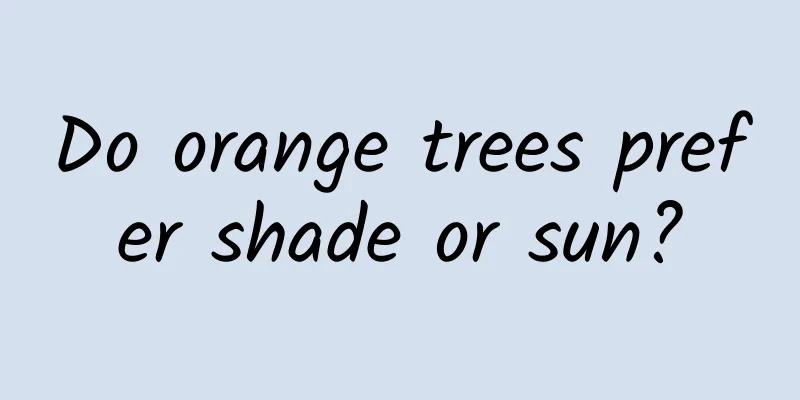 Do orange trees prefer shade or sun?