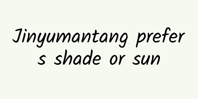 Jinyumantang prefers shade or sun