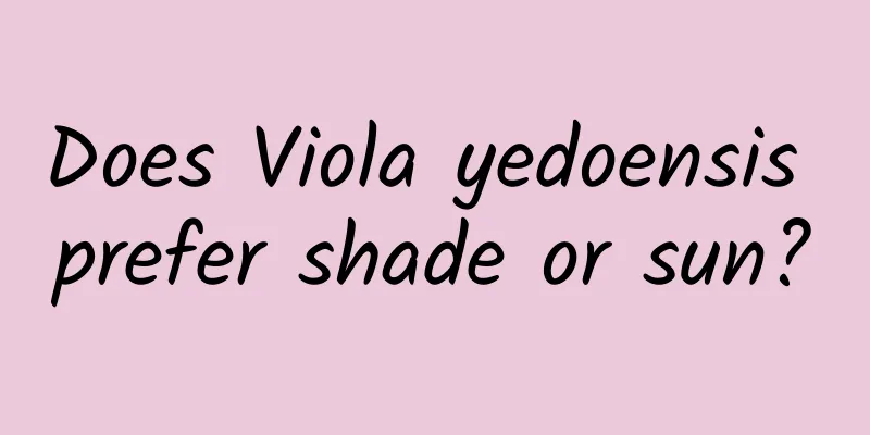 Does Viola yedoensis prefer shade or sun?