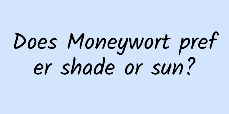 Does Moneywort prefer shade or sun?