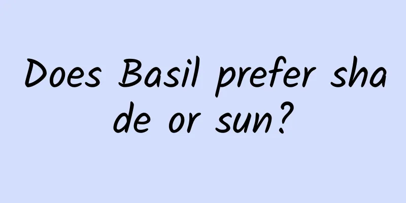 Does Basil prefer shade or sun?