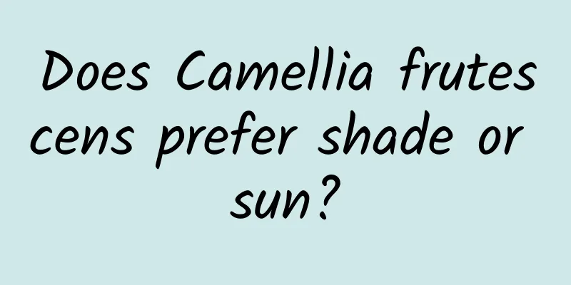 Does Camellia frutescens prefer shade or sun?
