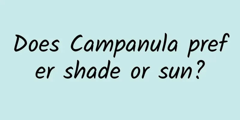 Does Campanula prefer shade or sun?