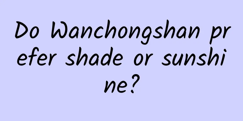 Do Wanchongshan prefer shade or sunshine?