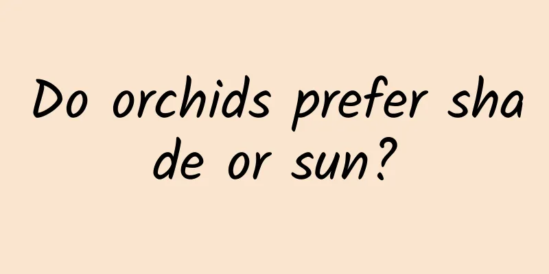 Do orchids prefer shade or sun?
