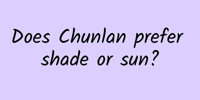 Does Chunlan prefer shade or sun?