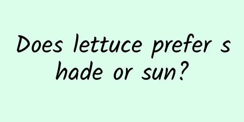 Does lettuce prefer shade or sun?
