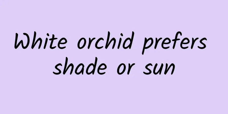 White orchid prefers shade or sun