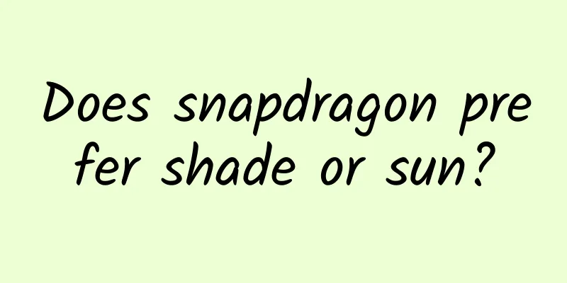 Does snapdragon prefer shade or sun?