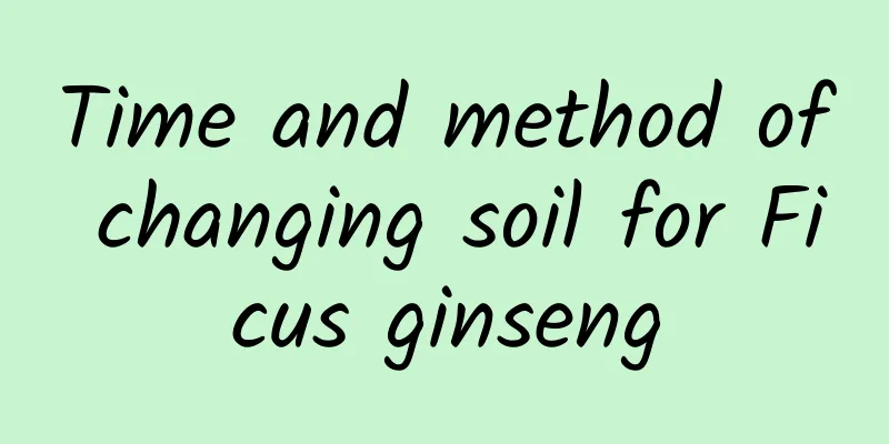 Time and method of changing soil for Ficus ginseng