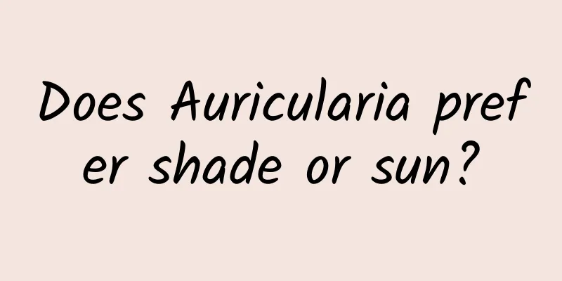 Does Auricularia prefer shade or sun?