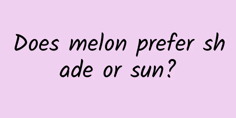 Does melon prefer shade or sun?