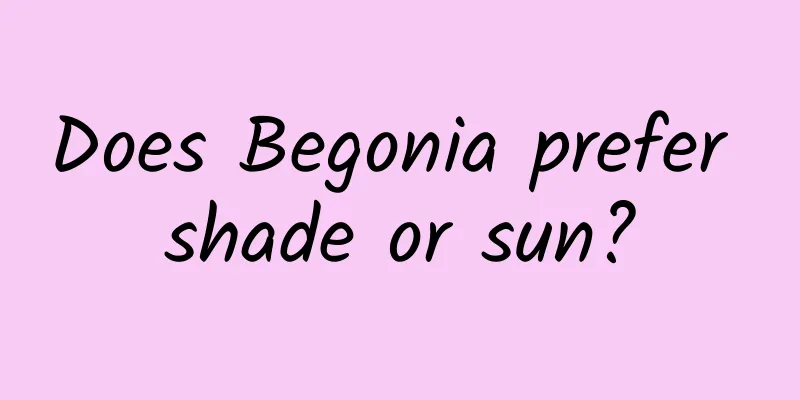 Does Begonia prefer shade or sun?