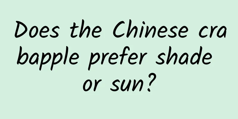Does the Chinese crabapple prefer shade or sun?