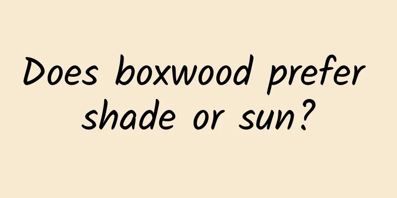 Does boxwood prefer shade or sun?