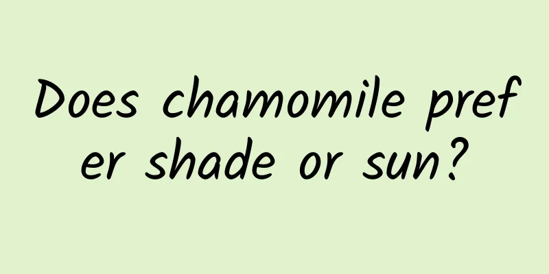 Does chamomile prefer shade or sun?