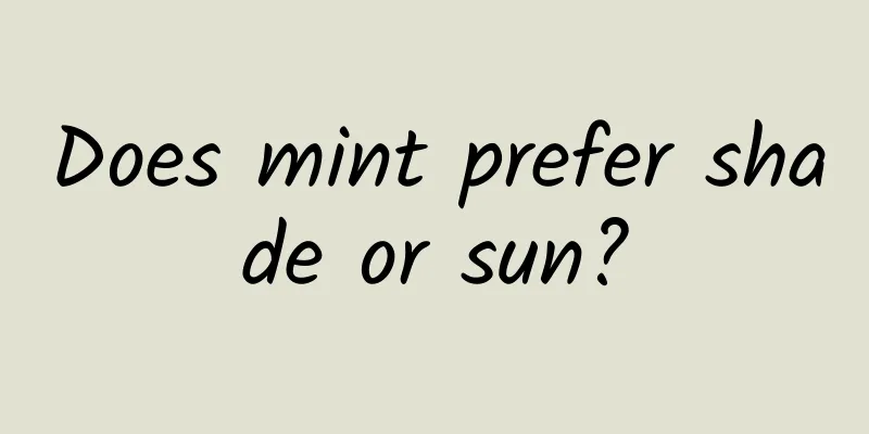 Does mint prefer shade or sun?