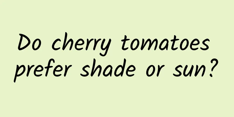 Do cherry tomatoes prefer shade or sun?