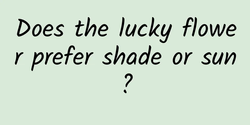 Does the lucky flower prefer shade or sun?