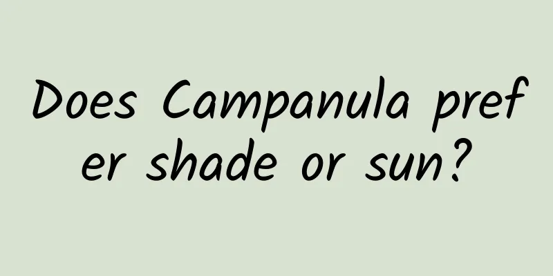 Does Campanula prefer shade or sun?