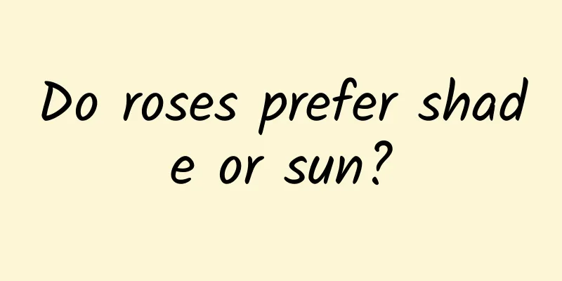 Do roses prefer shade or sun?