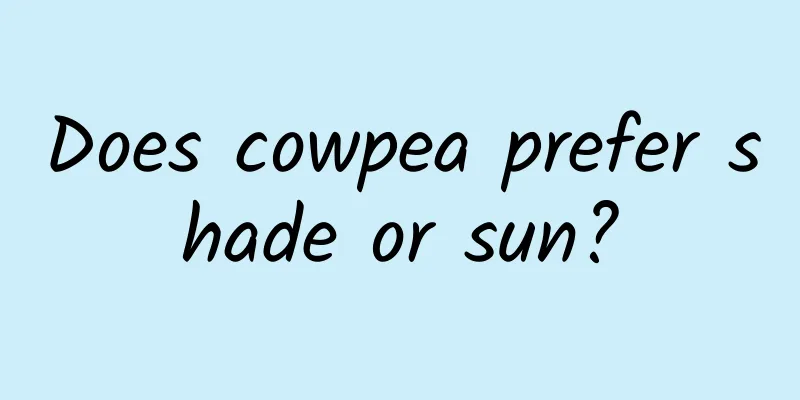 Does cowpea prefer shade or sun?