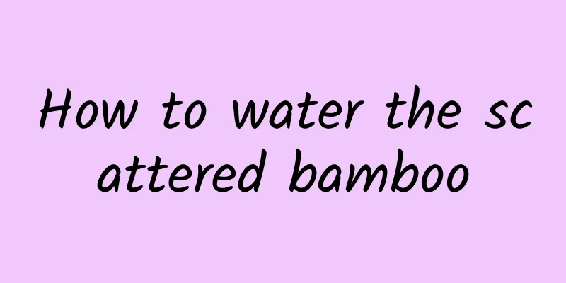 How to water the scattered bamboo