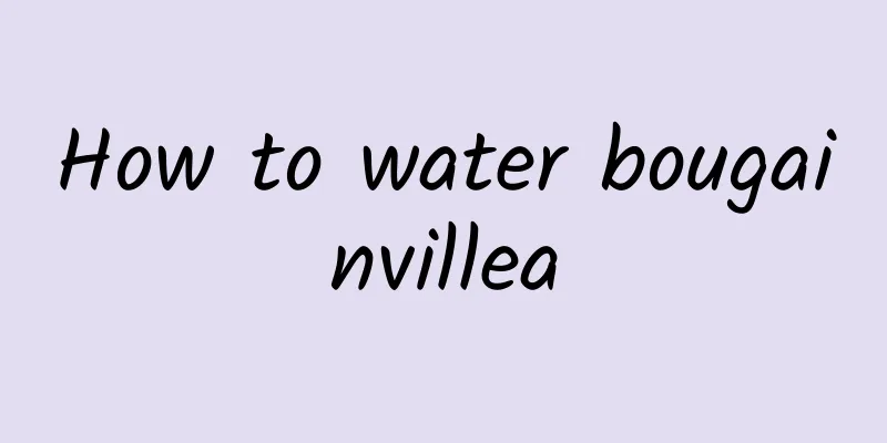 How to water bougainvillea