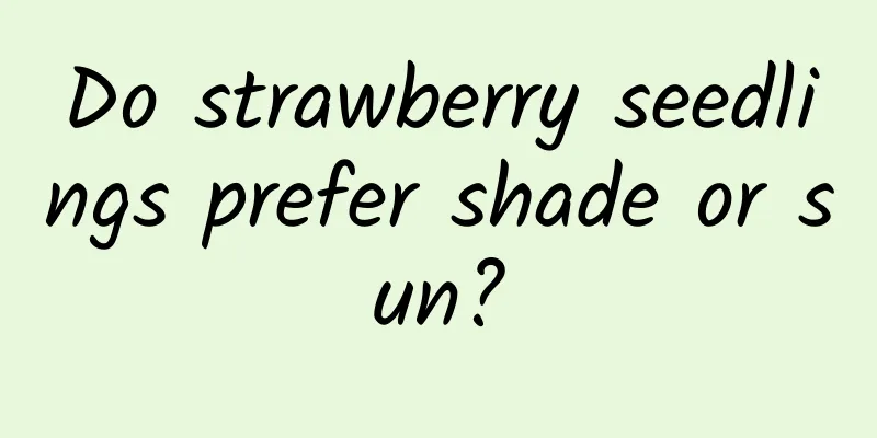 Do strawberry seedlings prefer shade or sun?