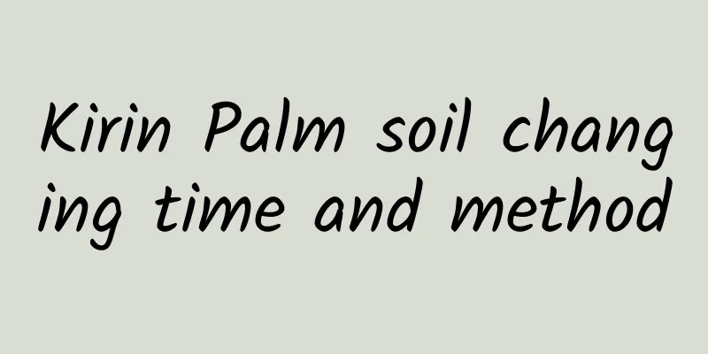 Kirin Palm soil changing time and method