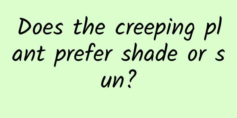 Does the creeping plant prefer shade or sun?
