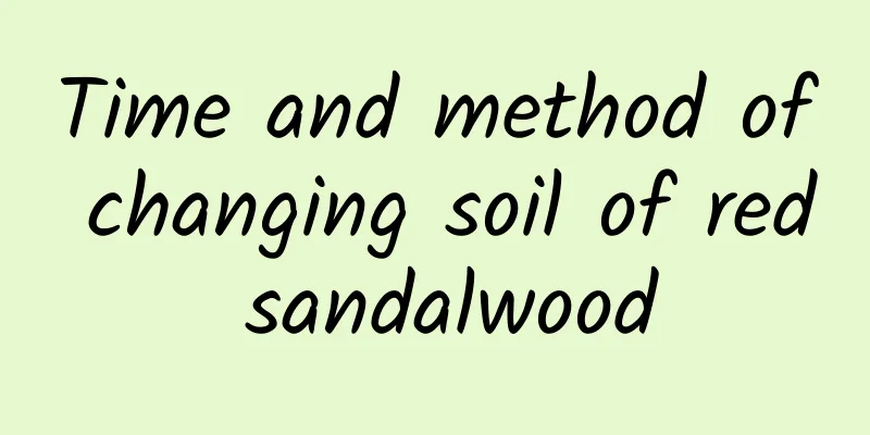 Time and method of changing soil of red sandalwood